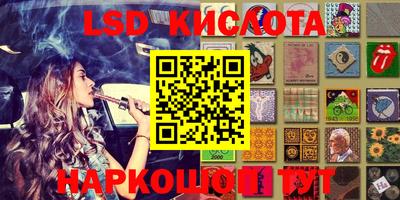 молекула духа Кингисепп