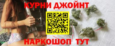 молекула духа Кингисепп