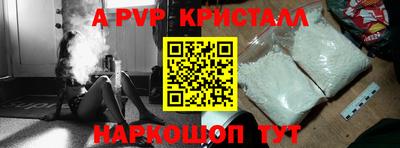 молекула духа Кингисепп