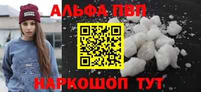 молекула духа Кингисепп