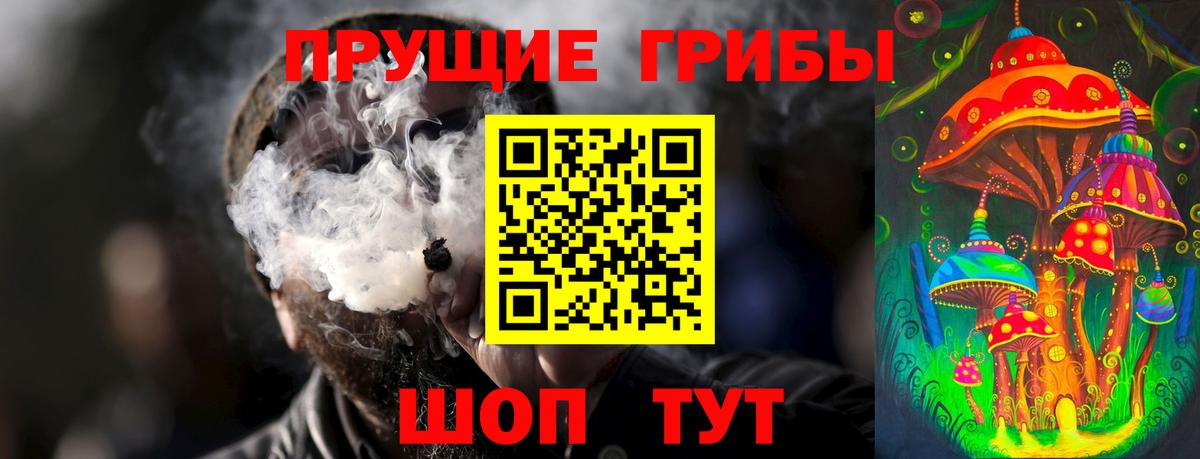 цены наркотик  Галлюциногенные грибы Psilocybine cubensis  Вход с VPN  Георгиевск 