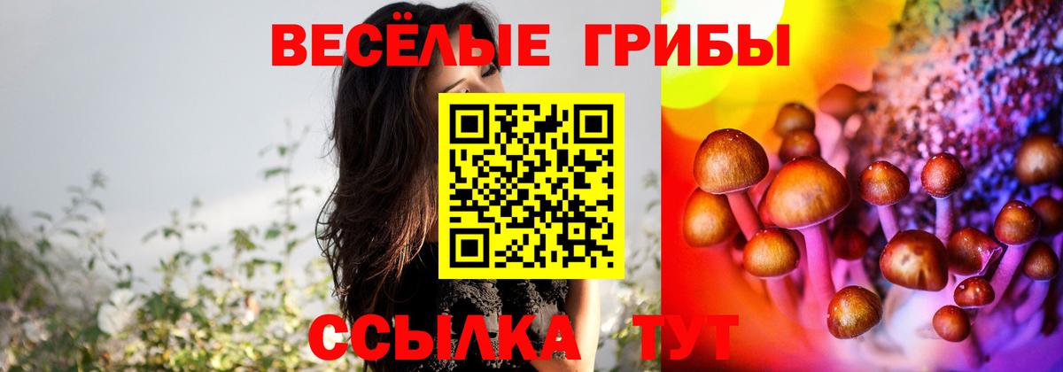 Псилоцибиновые грибы Cubensis Георгиевск